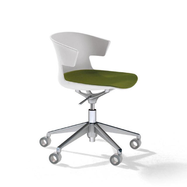 CLEA Visitor & Meeting chair